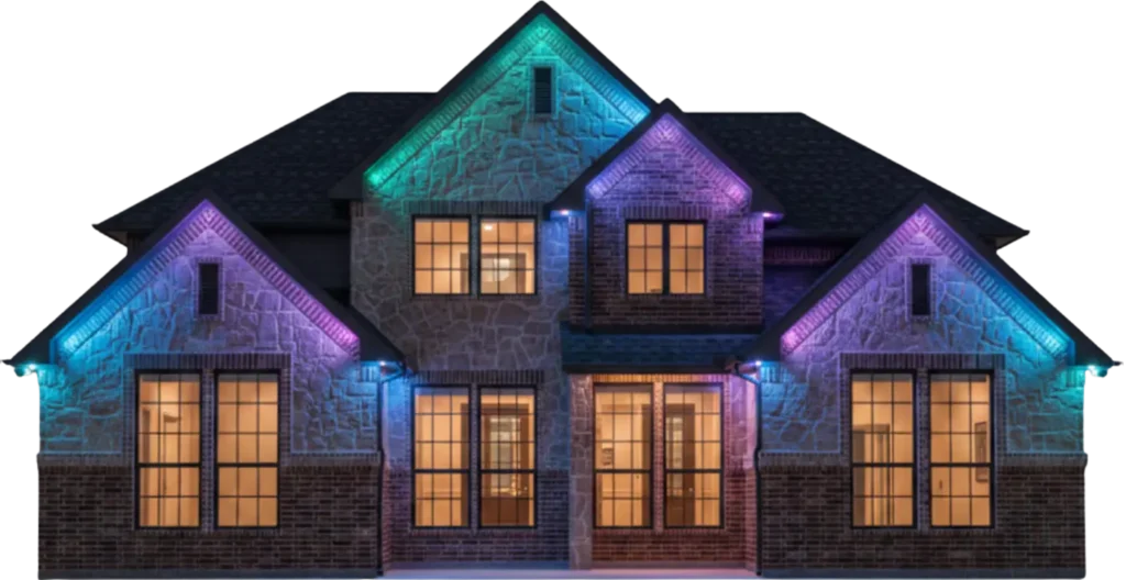 JellyFish Lighting 02 - Elevated Electrical