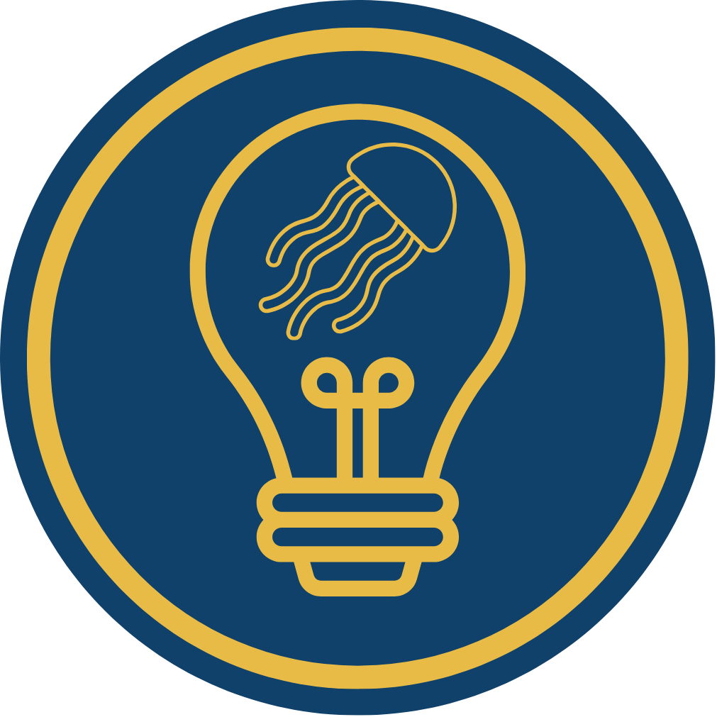 JellyFish Lighting 02